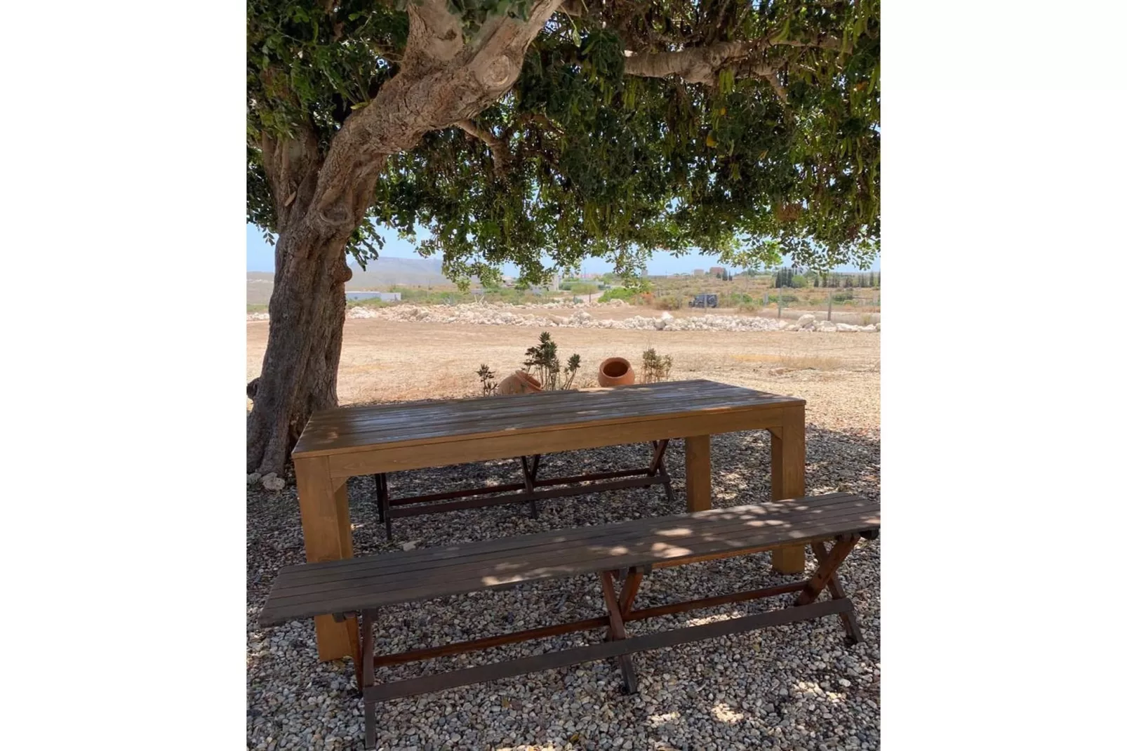 CT 354 AL - Faro's Casa Piedra - Agua Amarga - Cabo de Gata-Garten Sommer