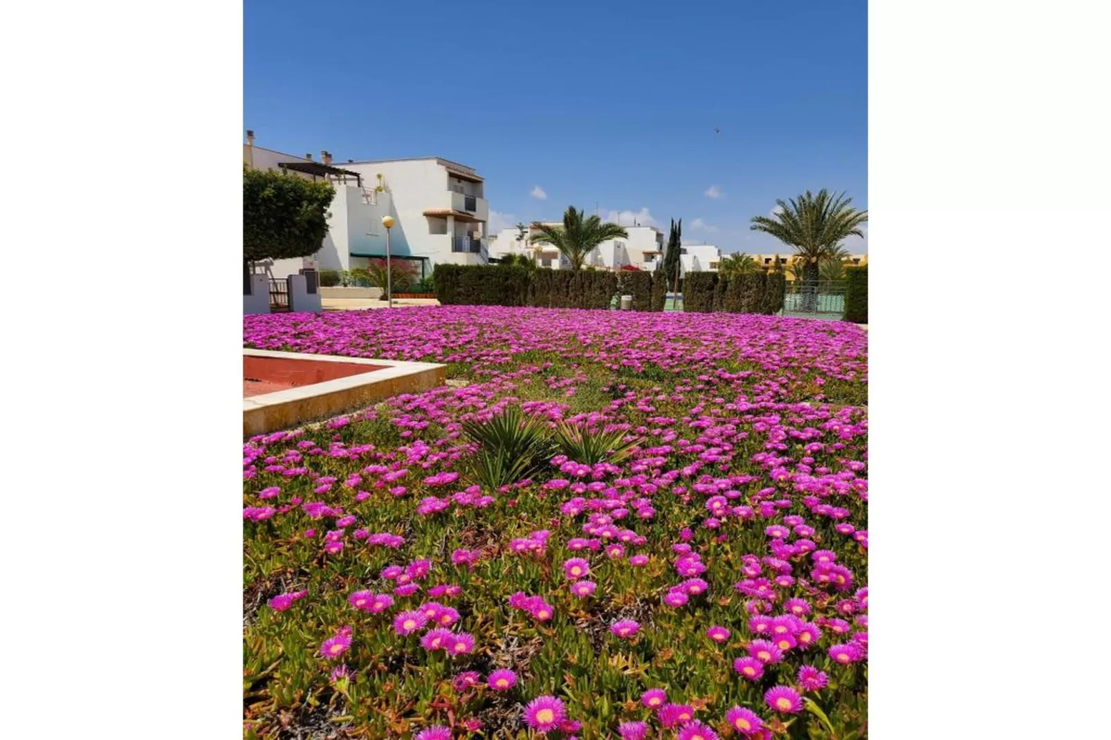 CT 369 AL - Faro's Apartmento Naturista - Primera Linea Vera Playa-Jardins en été