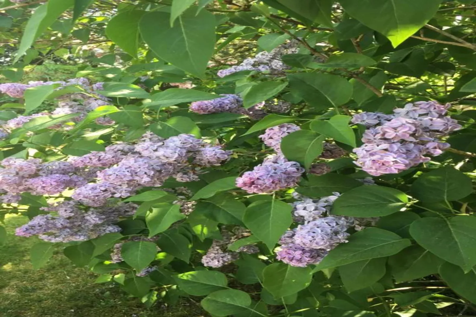 Hausboot in Zehdenick-Gebiete Sommer 20 km