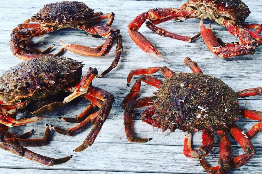 329937-Nicht zugeordnet