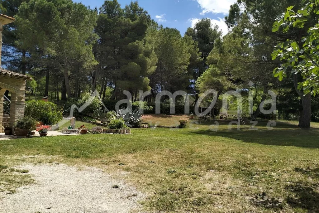 561526-Nicht zugeordnet