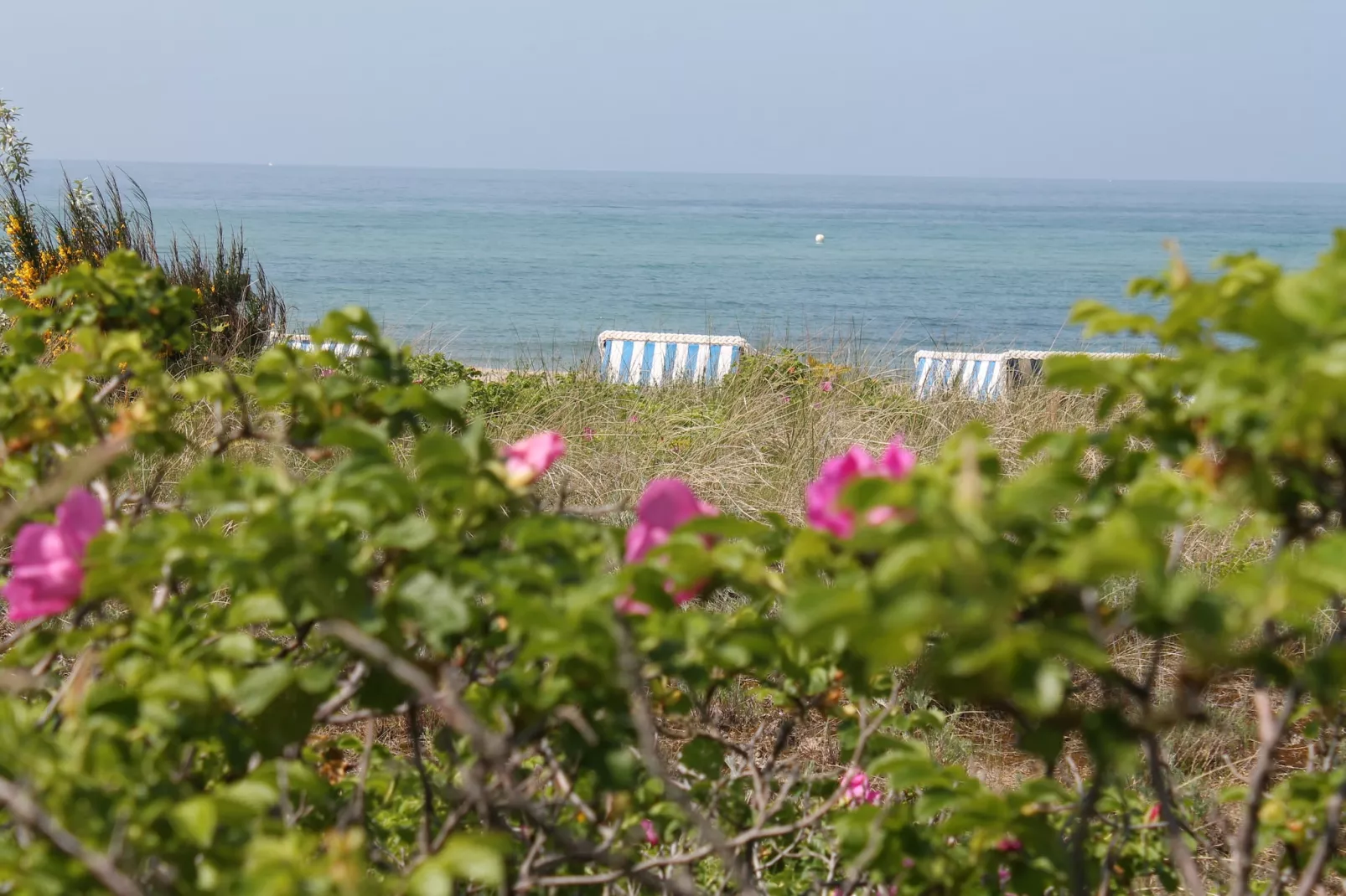 Zum Breitling-Areas within 5km in summer