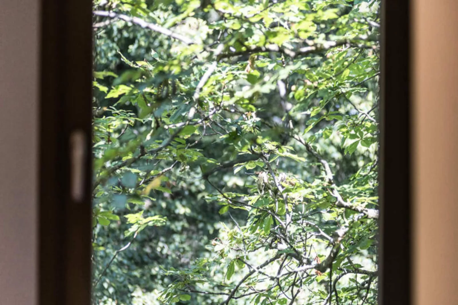 Maison à Sant Hilari Sacalm-Non tagué