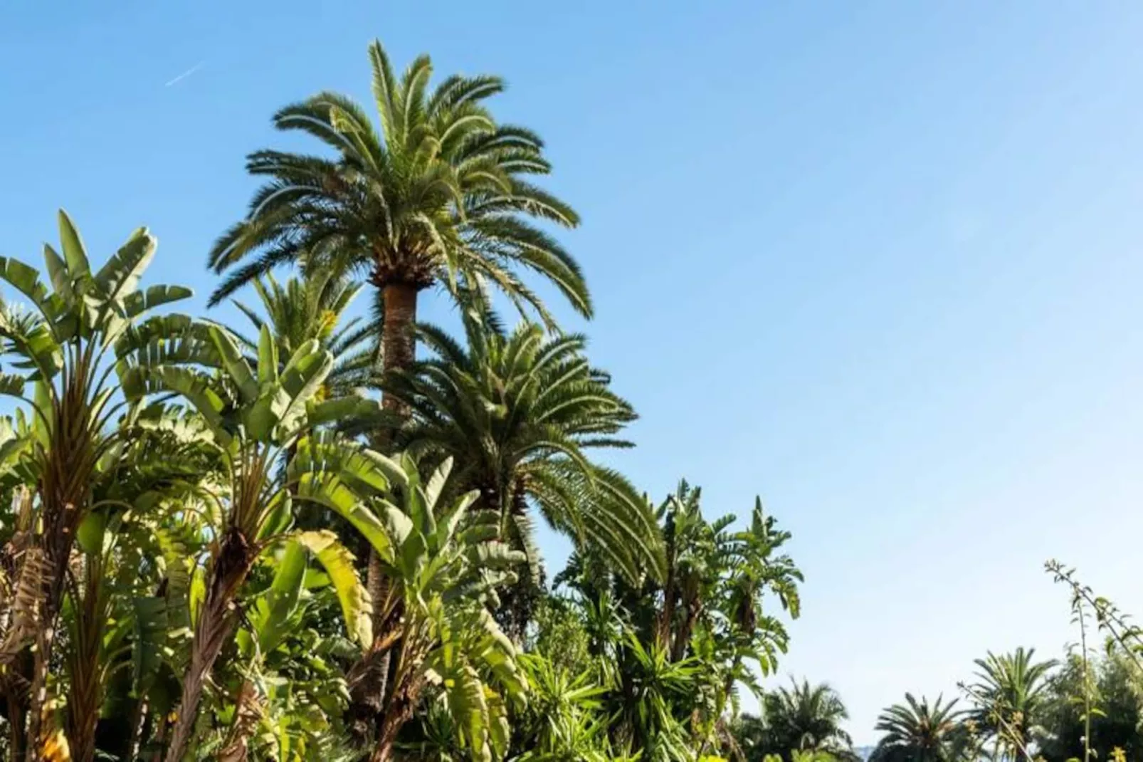 Résidence C&ocirc;te D&rsquo;azur, Vue Mer, Tennis, Plage-Untagged