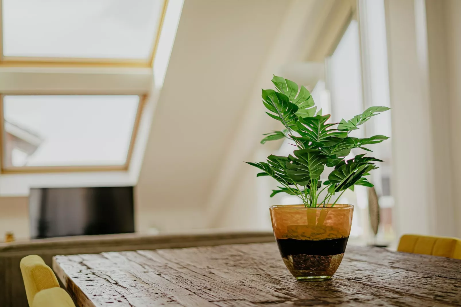 Waterpark de Meerparel 12-Ambiance