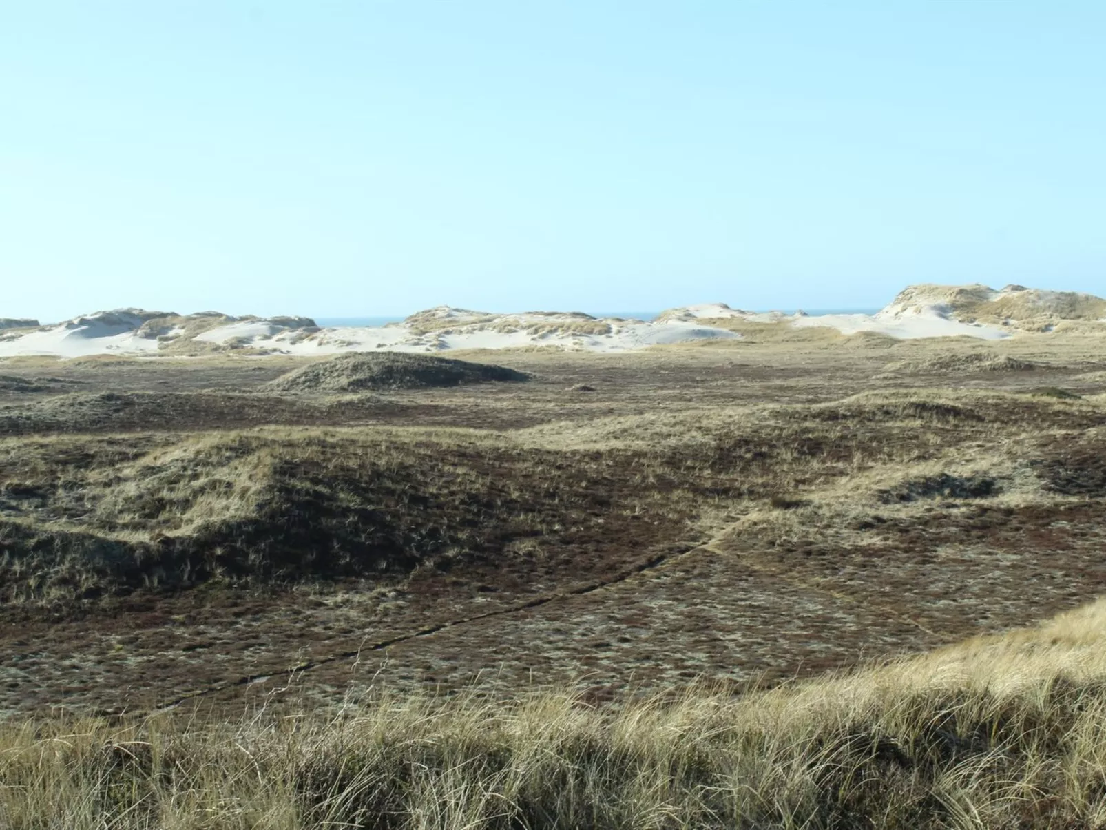 "Swanja" -  from the sea-Outside