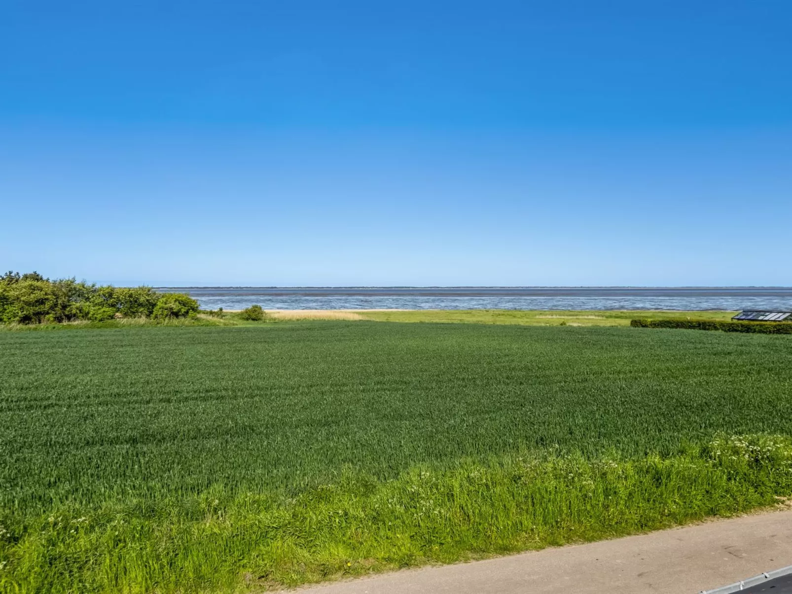 "Kielo" - 10km from the sea-Draußen