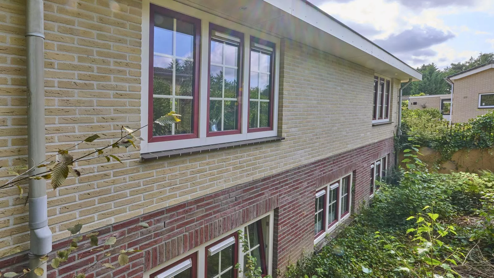 Heidepracht-Extérieur été