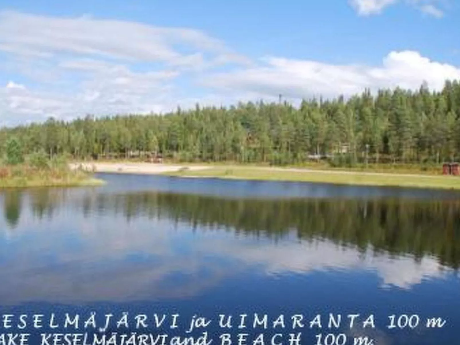 Sallanhelmi a2-Dedans