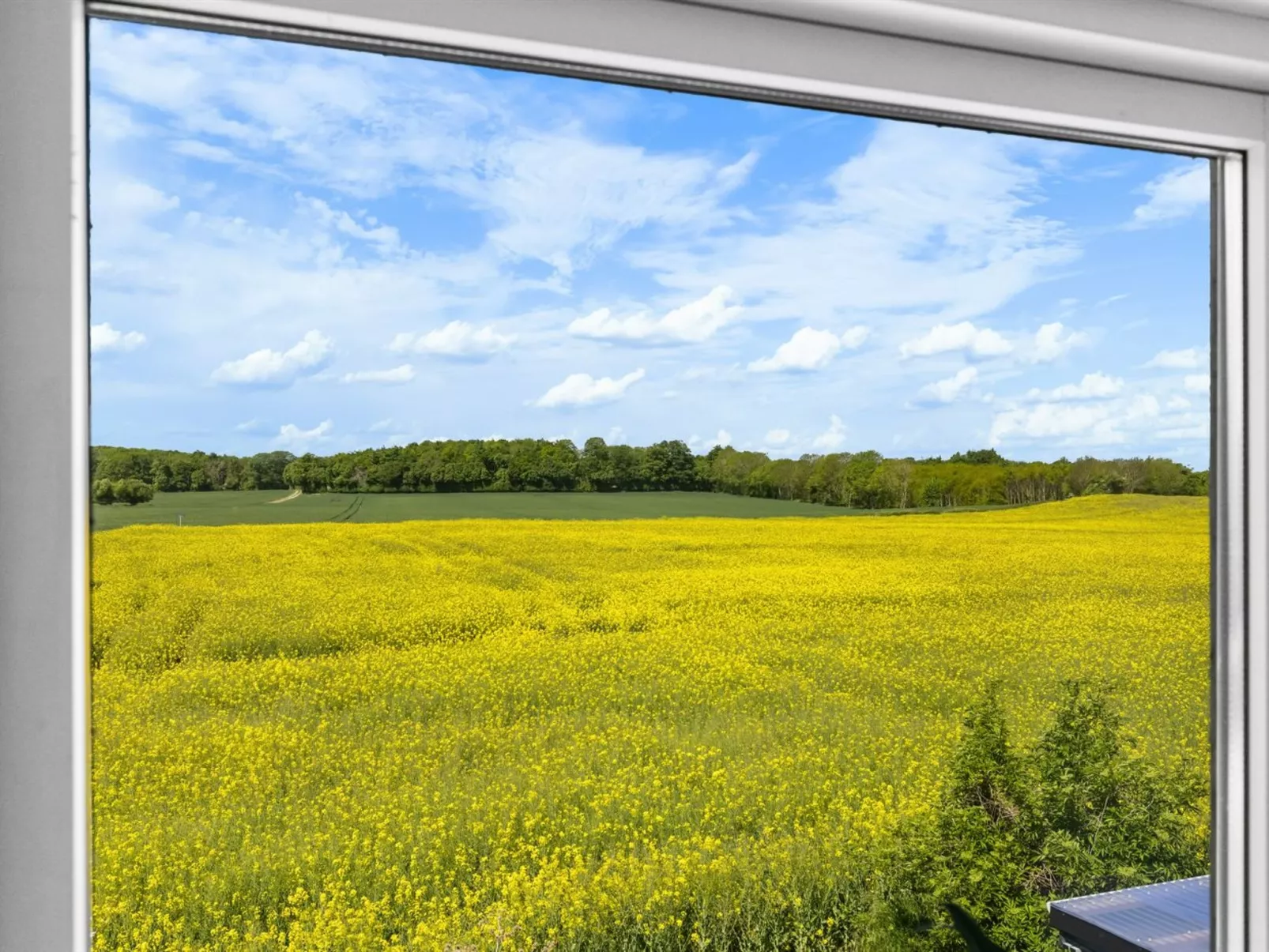 "Alisa" - 2.5km from the sea-Draußen