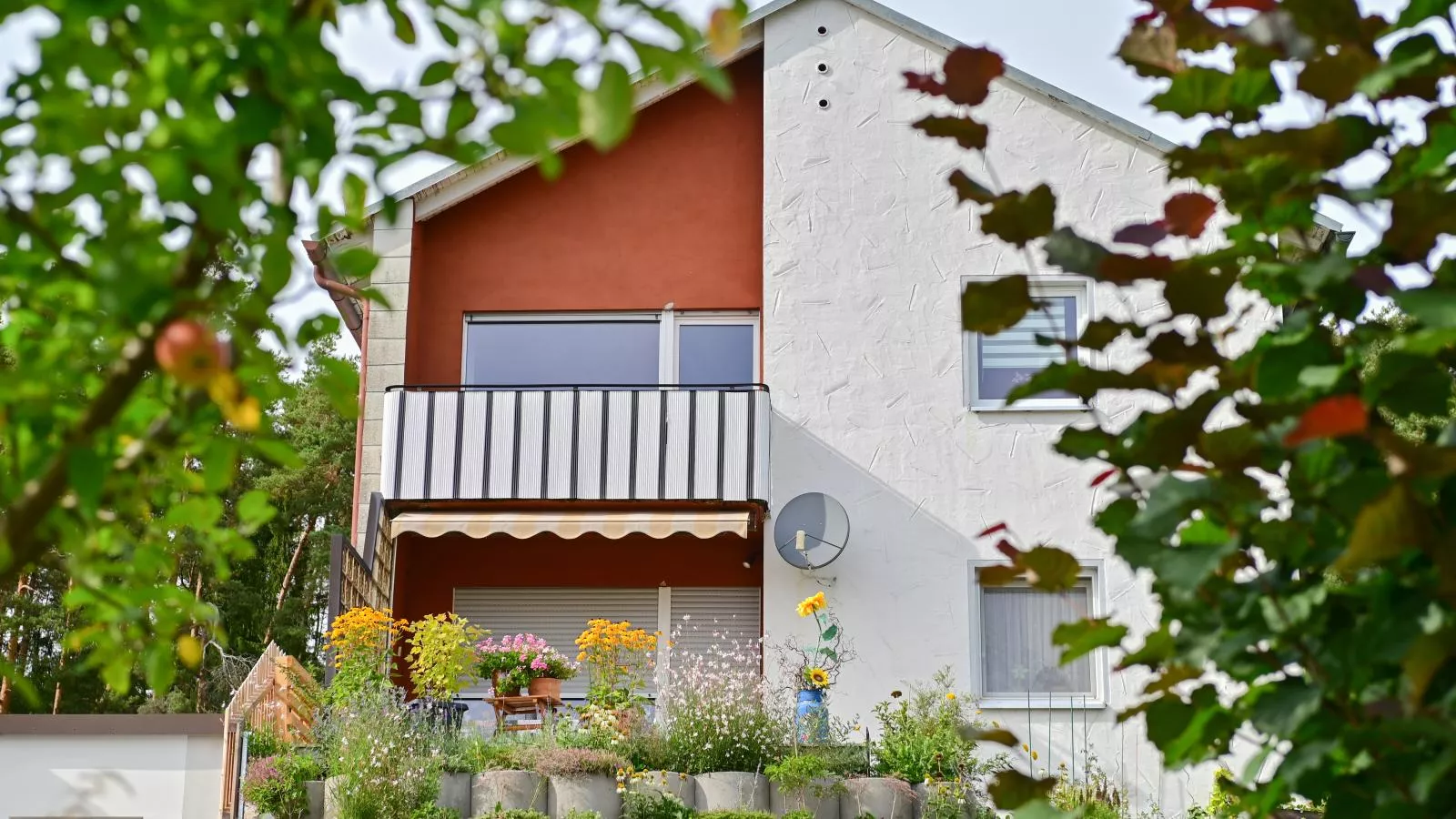 Bärenhöhle-Außenbereich Sommer