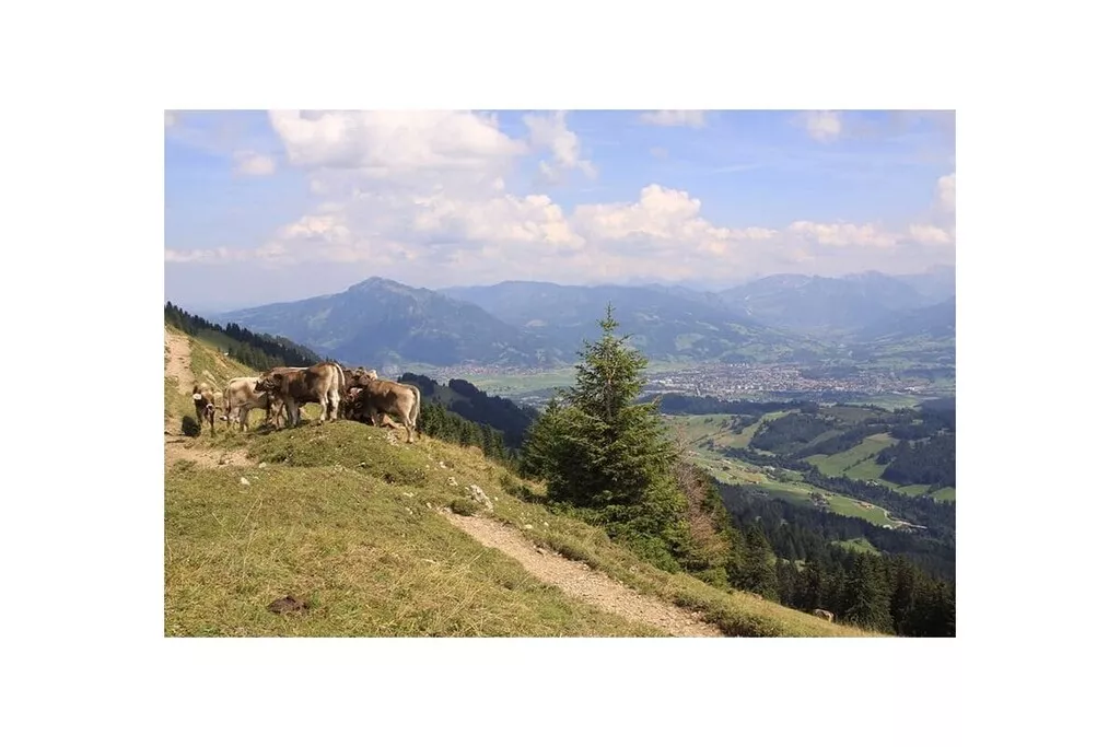 10659-Nicht zugeordnet