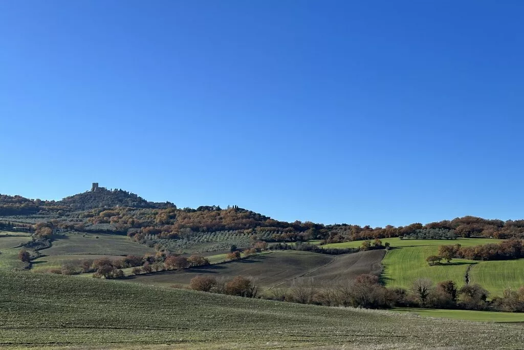 539355-Nicht zugeordnet