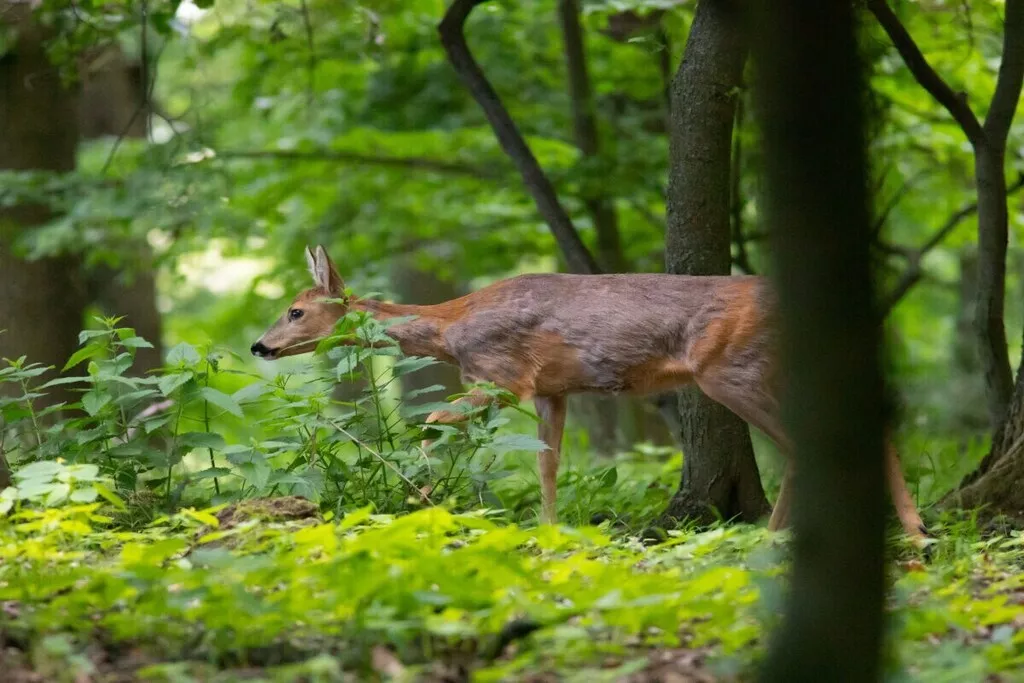 581116-Nicht zugeordnet