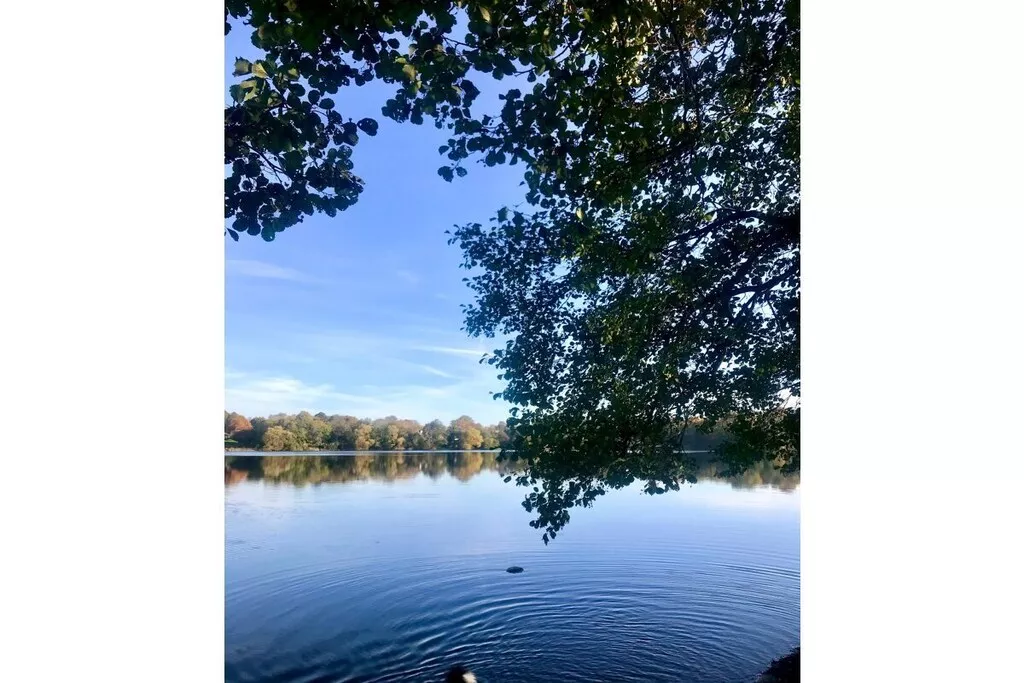 573225-Nicht zugeordnet