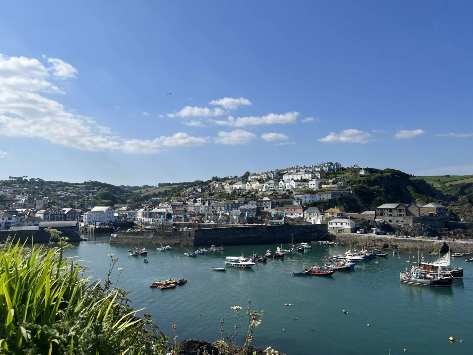 Old Harbour Cottage-Area