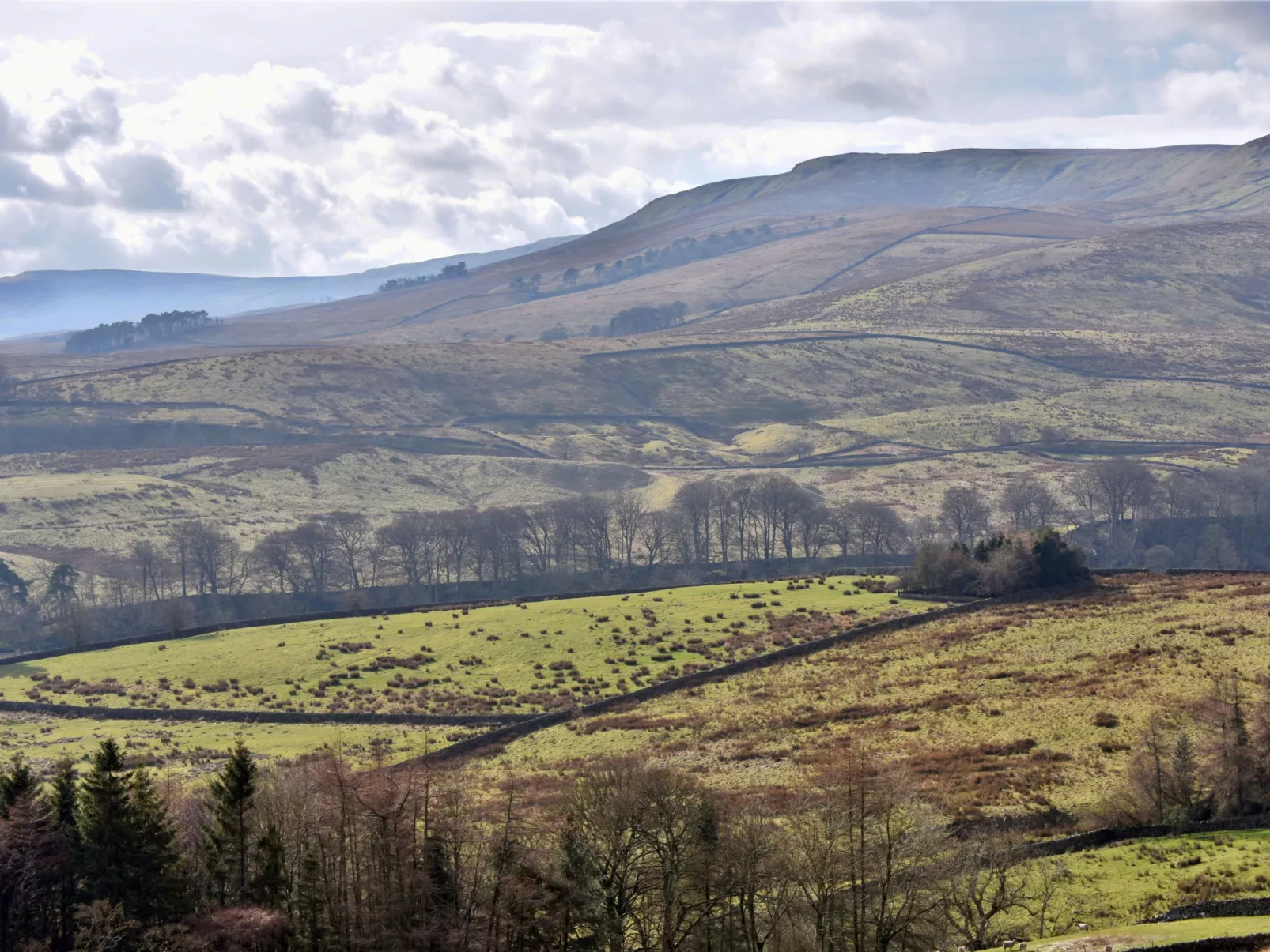 Dales Barn Top-Inside