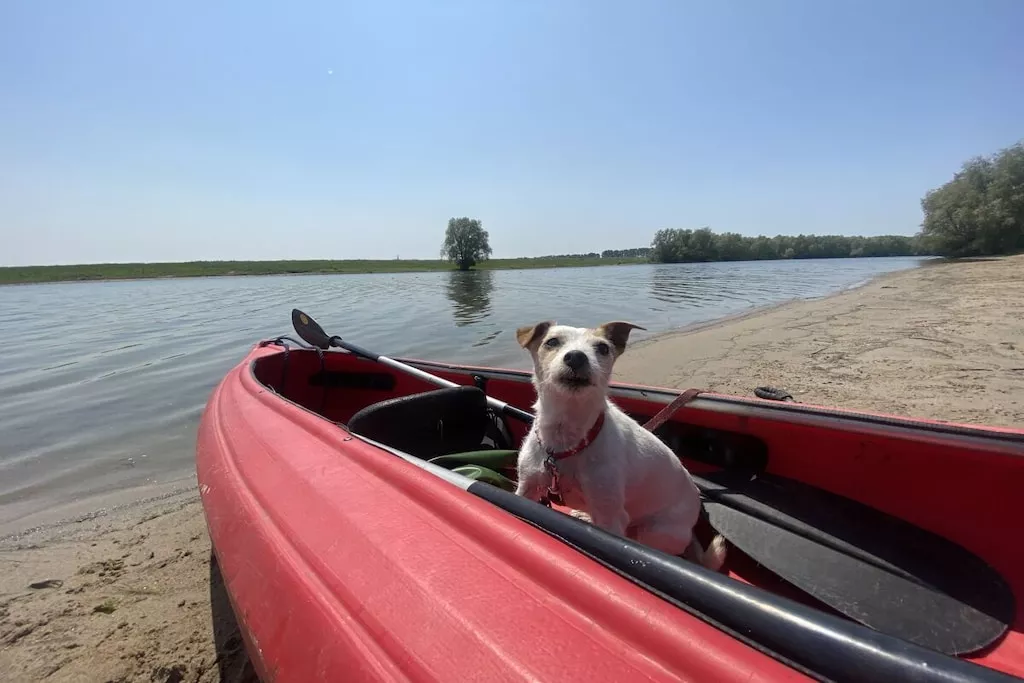 452844-Nicht zugeordnet