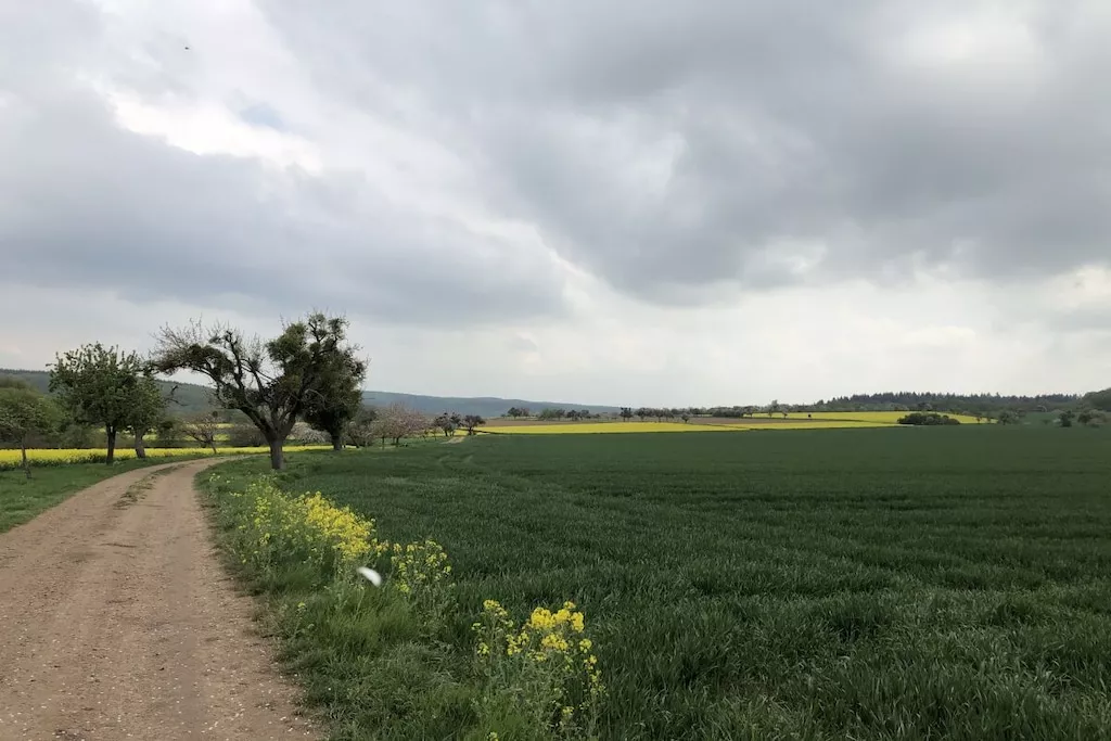 233089-Nicht zugeordnet