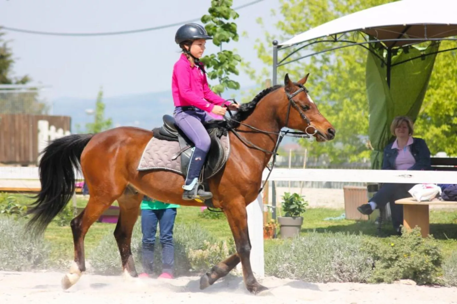 Zevnik Quiet Retreat with Stunning Views and Equestrian Activities - Standard One Bedroom Apartment-Outdoor