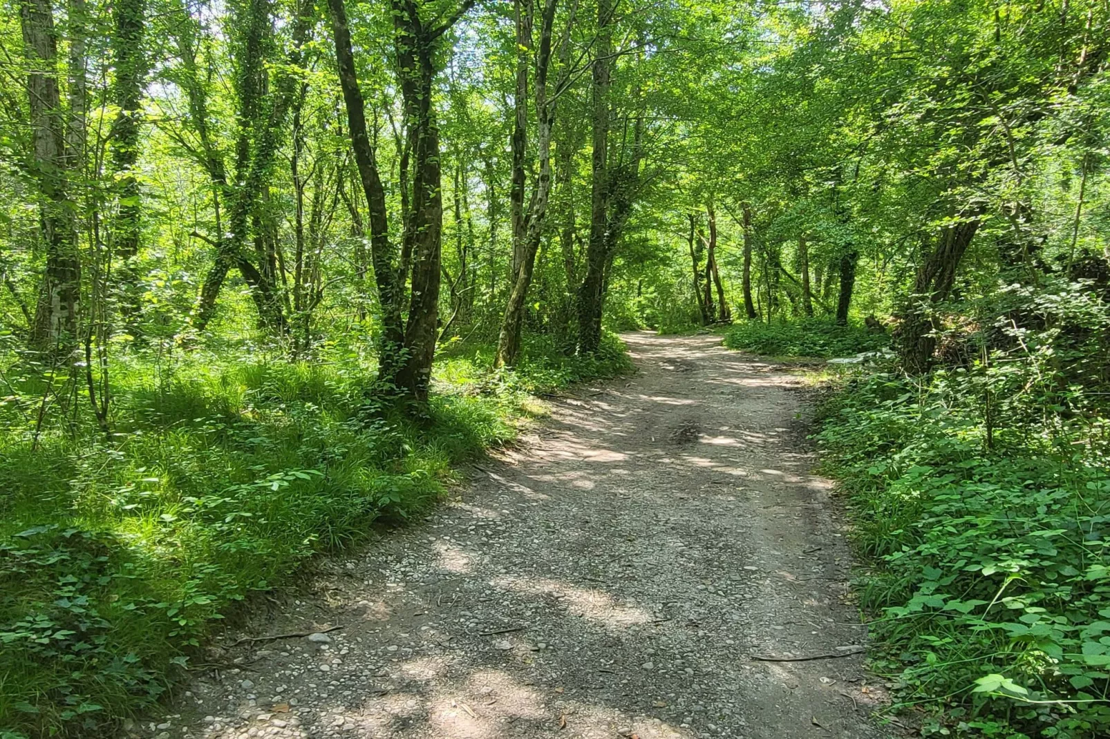 Peaceful Countryside Holiday Home with Terrace - One Bedroom Holiday Home with Terrace-Outdoor