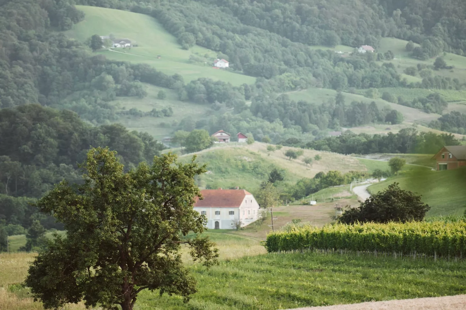 Cozy Holiday Home with Fireplace and Scenic Hills in Bistrica ob Sotli - Two Bedroom Holiday Home