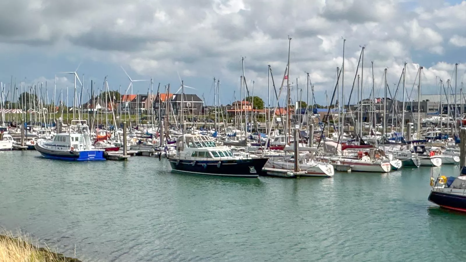 Coast and Calm 63-Areas within 1km in summer