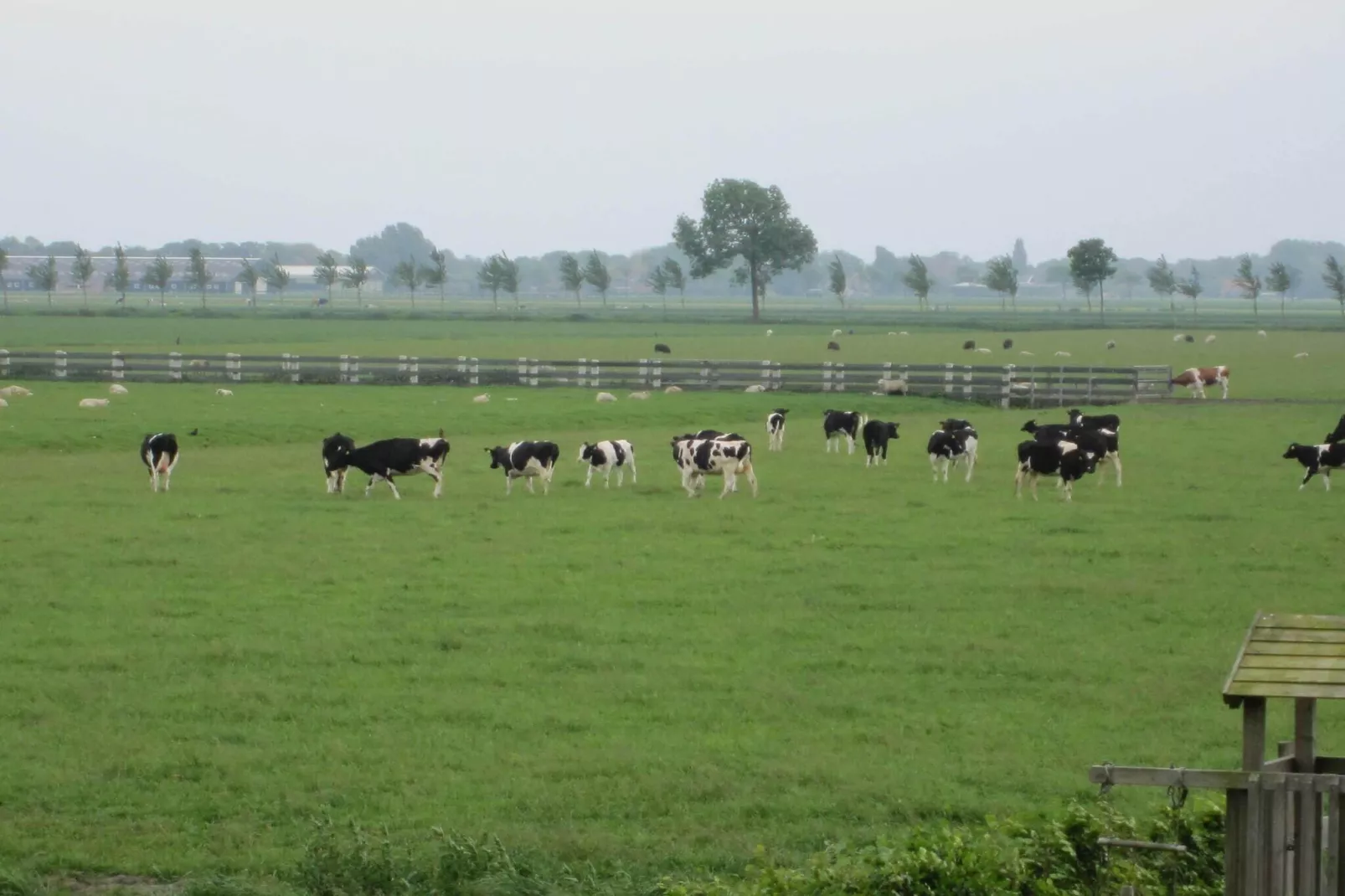 BELLEVUE-Zones été à 1 km