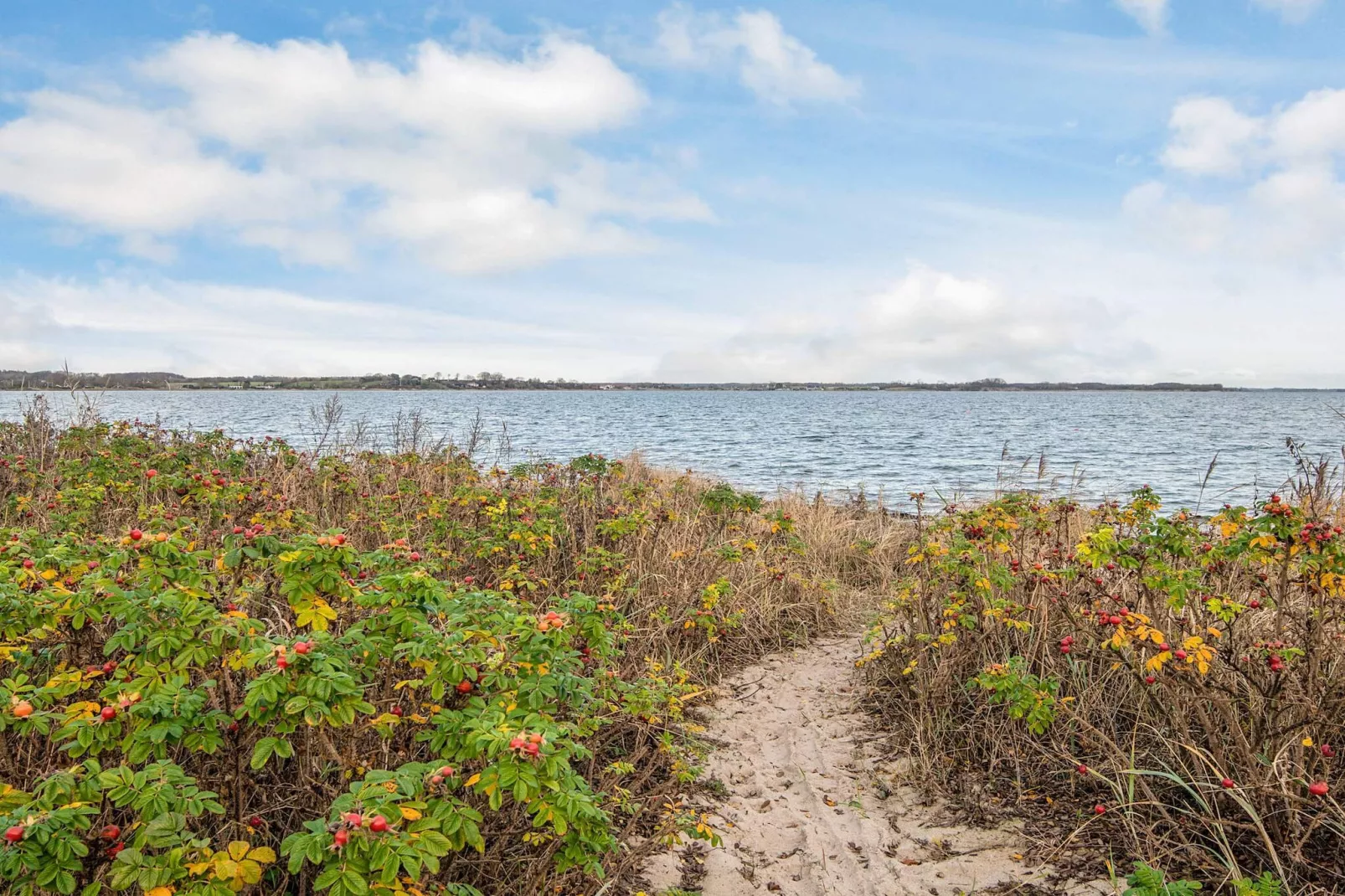 5 star holiday home in Sjølund-Untagged