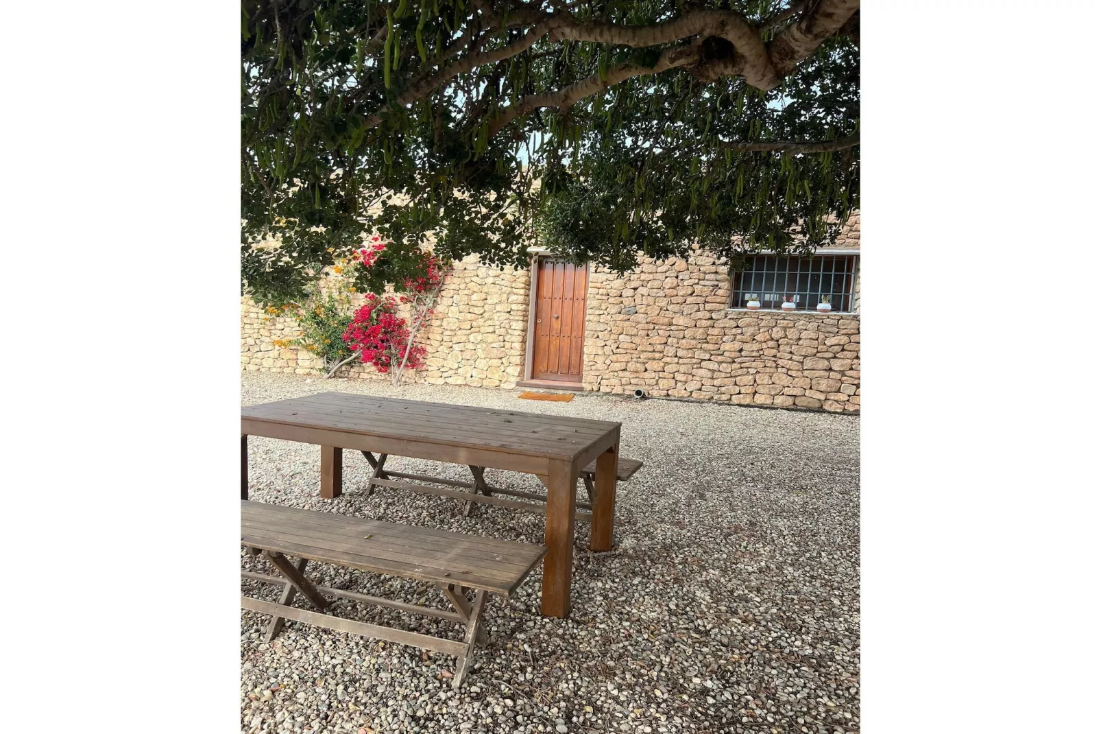 CT 354 AL - Faro's Casa Piedra - Agua Amarga - Cabo de Gata-Garten Sommer