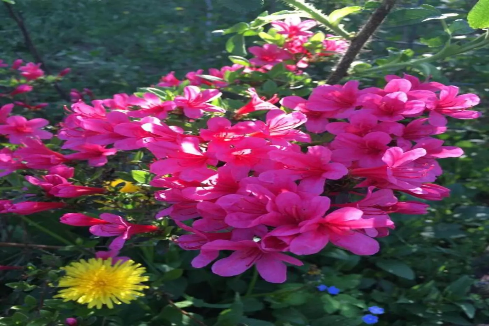 Hausboot in Zehdenick-Gebiete Sommer 20 km