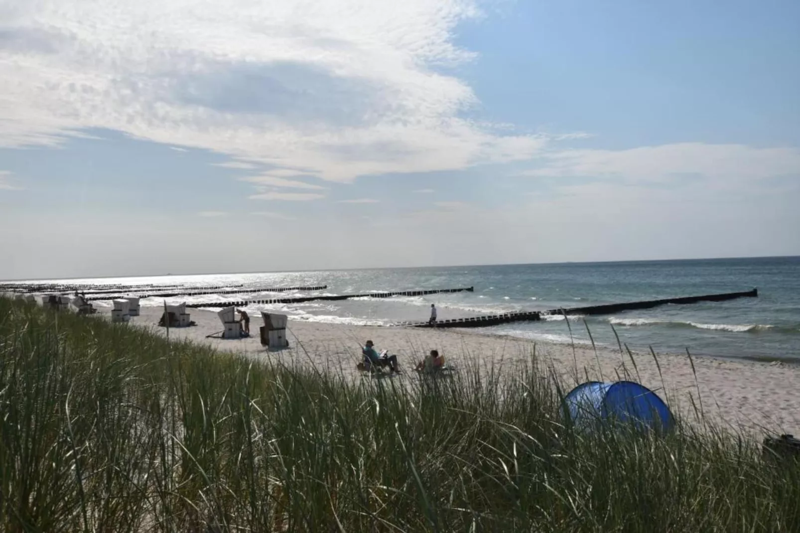 Hausboot in Ribnitz-Damgarten-Areas within 20km in summer