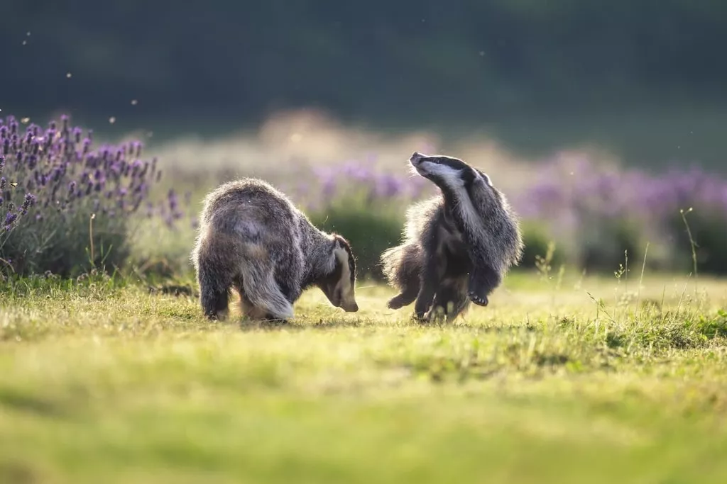 516982-Nicht zugeordnet