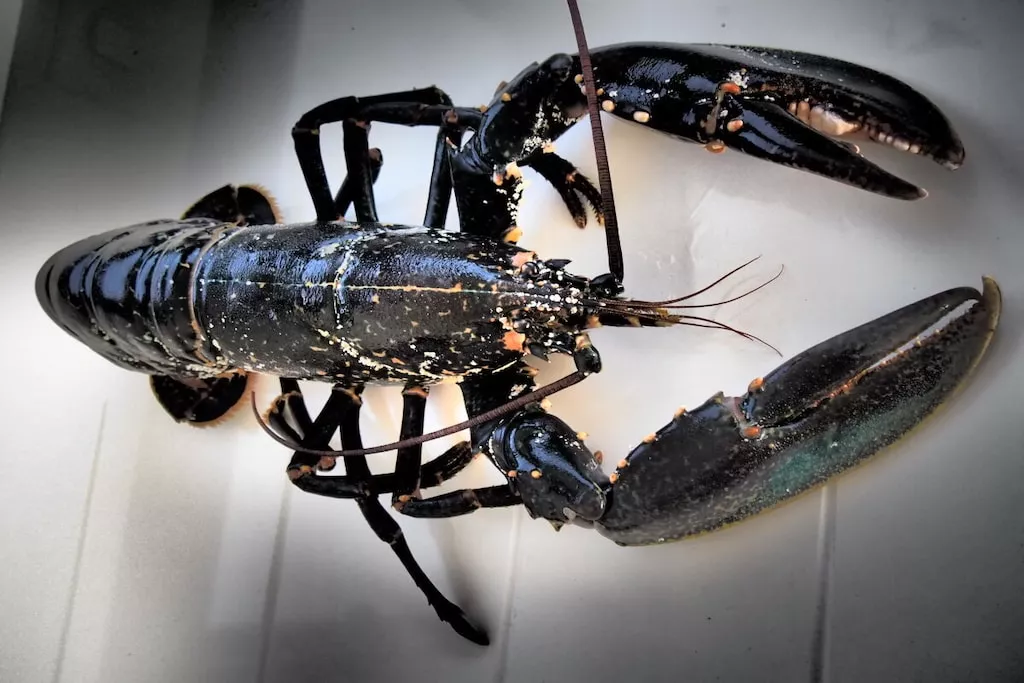 329937-Nicht zugeordnet