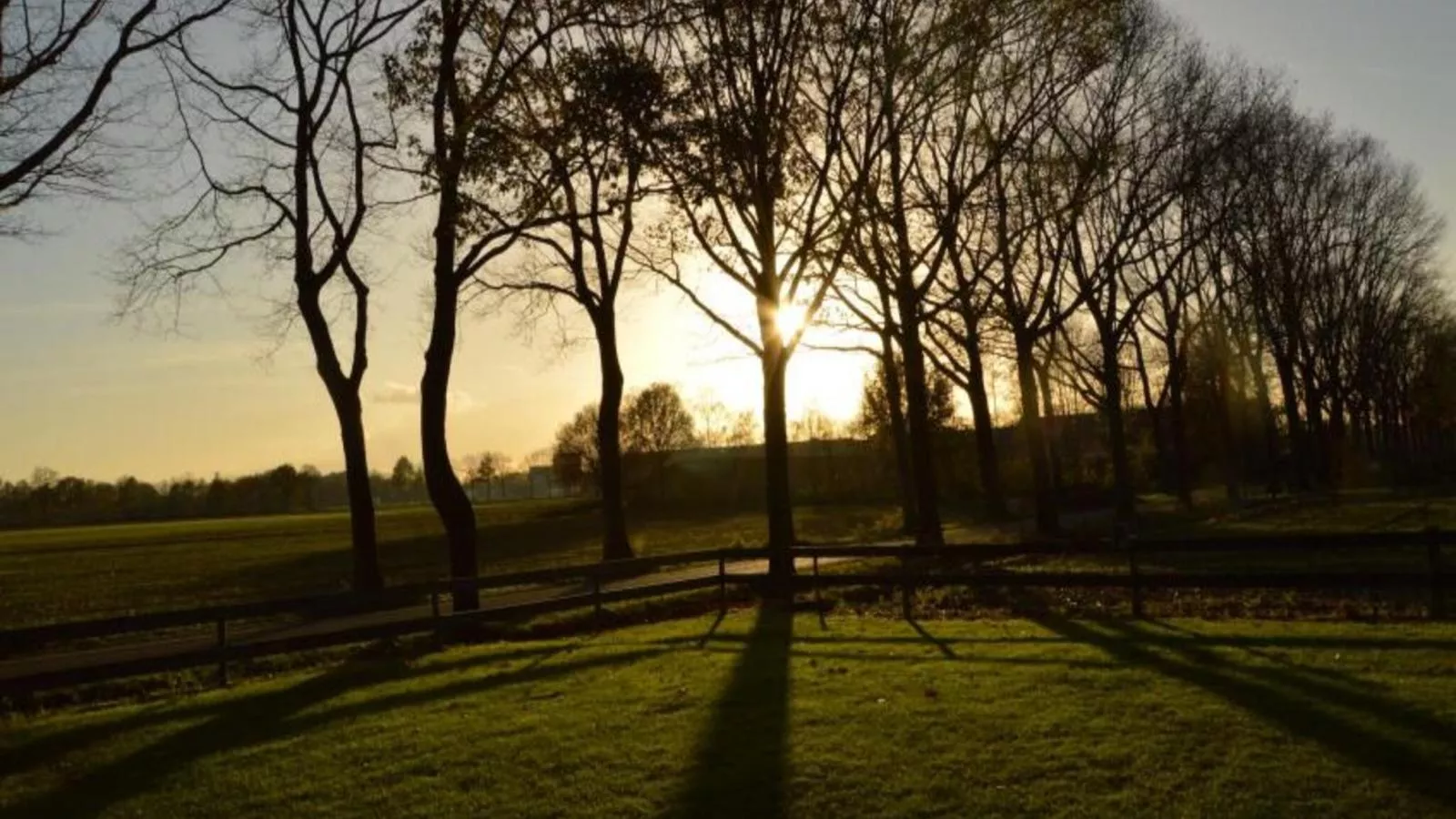 De Open Schuur-Aussicht Sommer