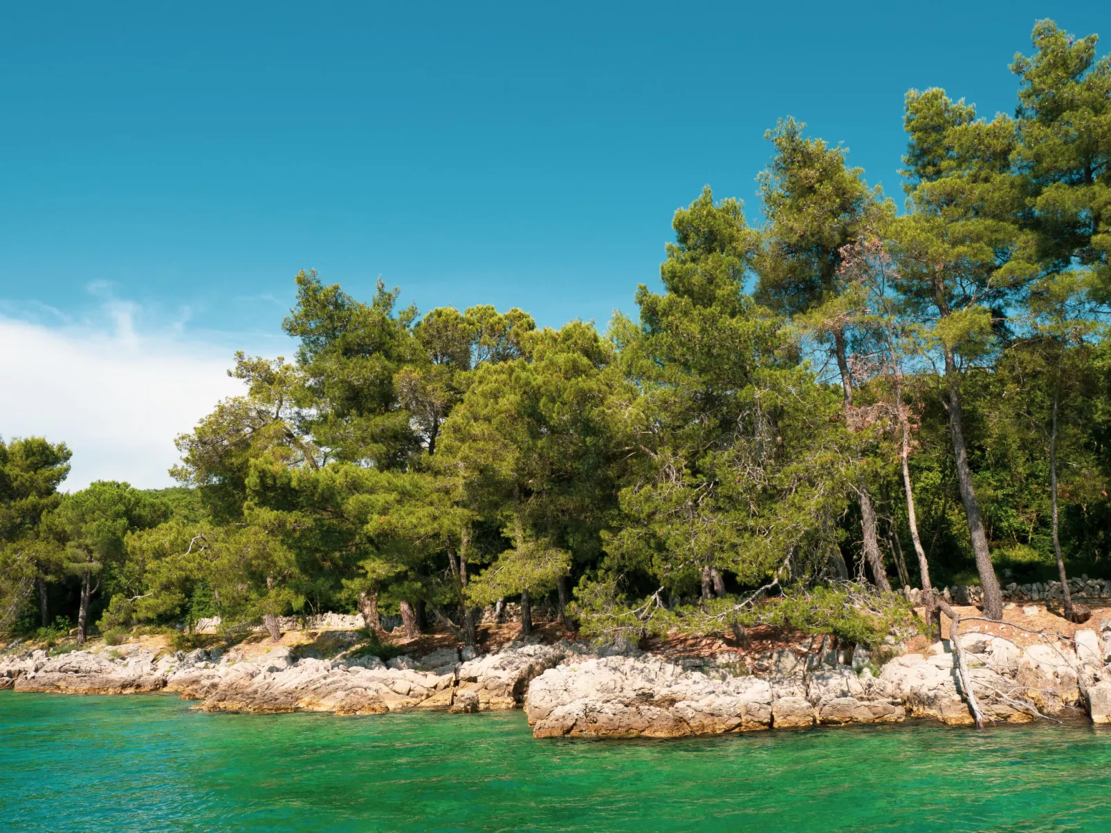 Villa Gisela-Umgebung