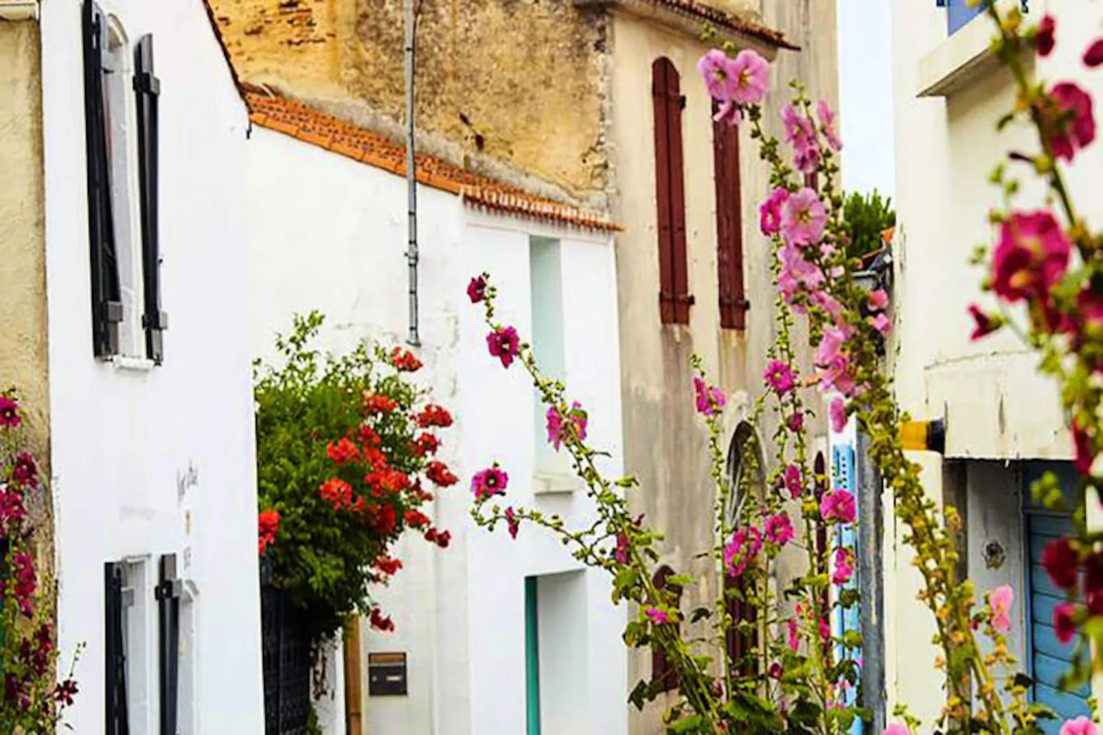 Appartements à Saint-Gilles-Croix-de-Vie-Non tagué
