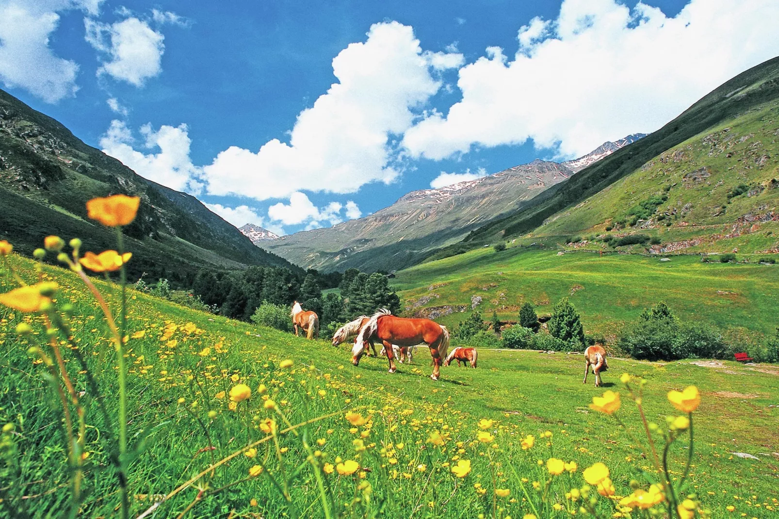 Grüner-Zones été à 5 km
