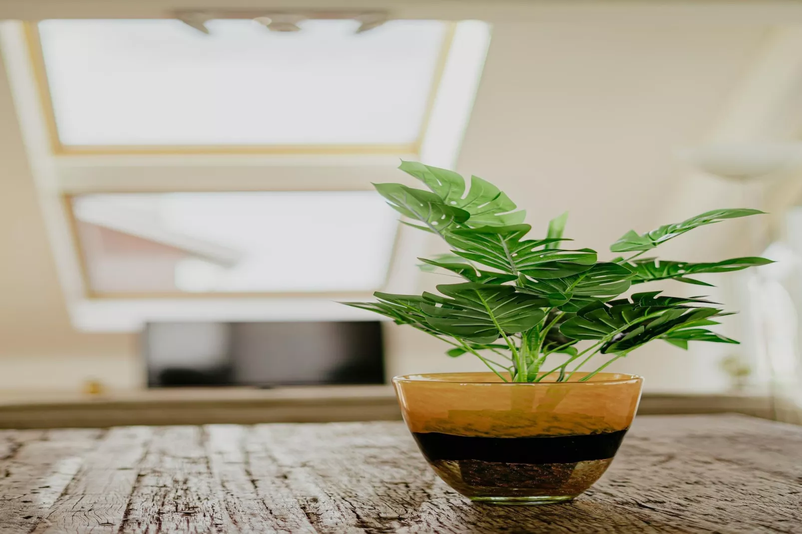 Waterpark de Meerparel 12-Ambiance