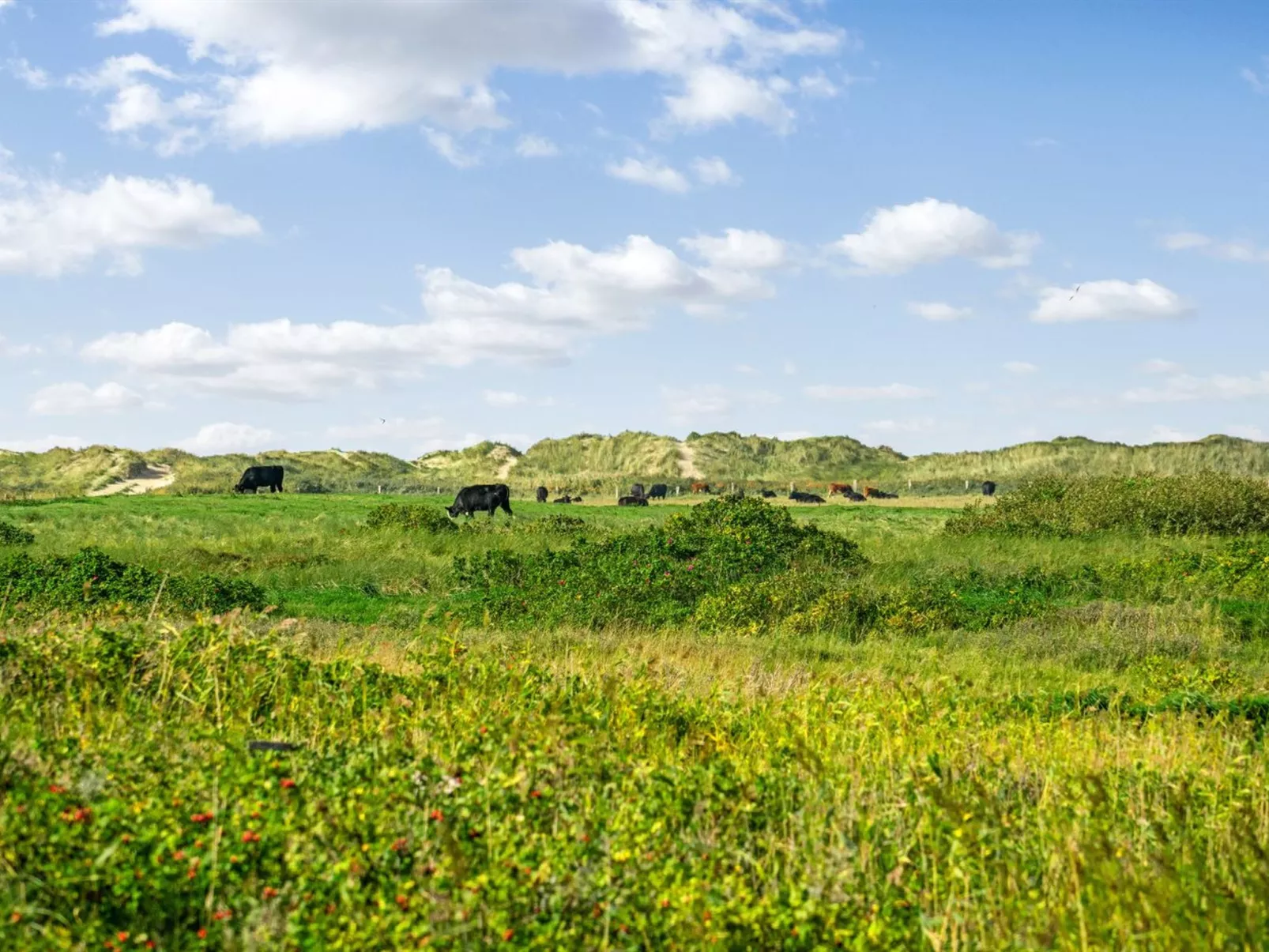 "Mortensen" - 350m from the sea-Dehors