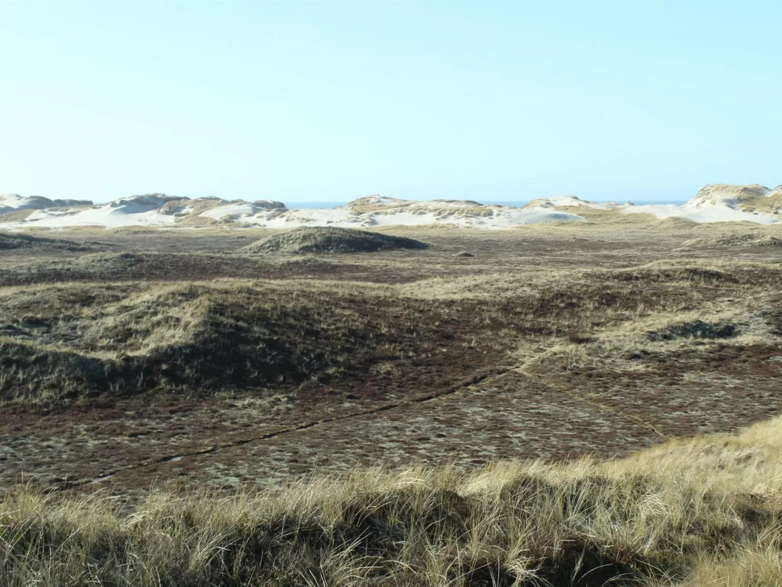 "Swanja" -  from the sea-Outside