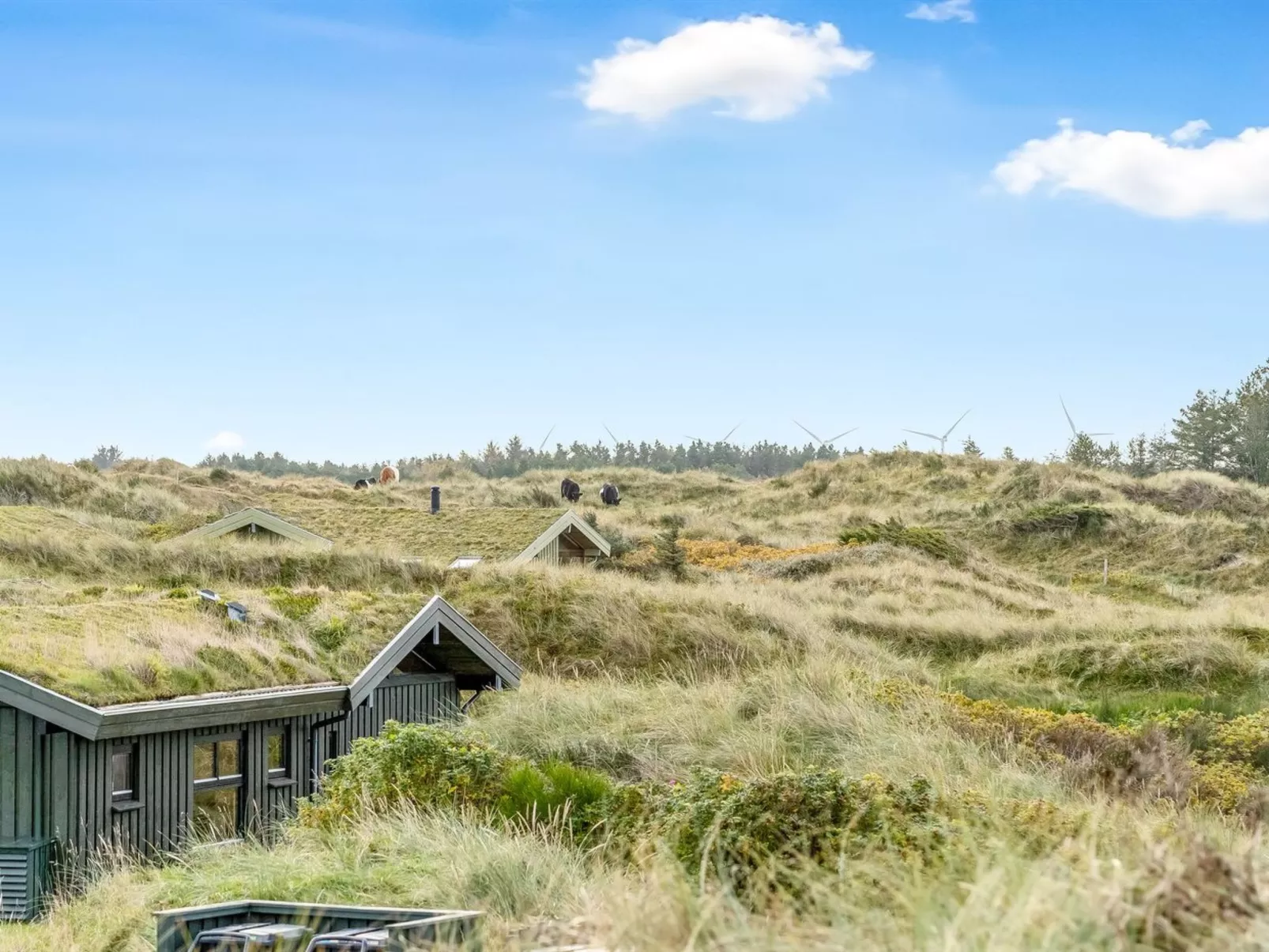 "Fransine" - 480m from the sea-Draußen