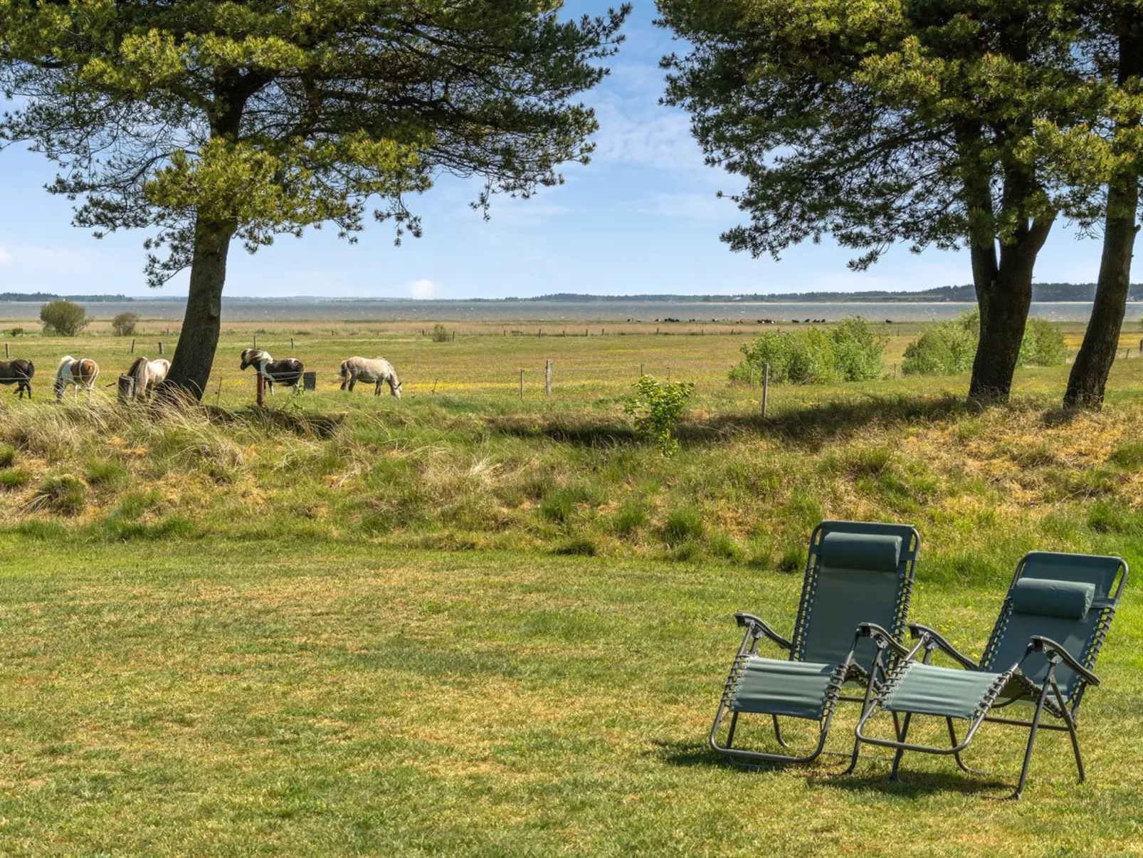 "Elny" - 500m to the fjord-Outside