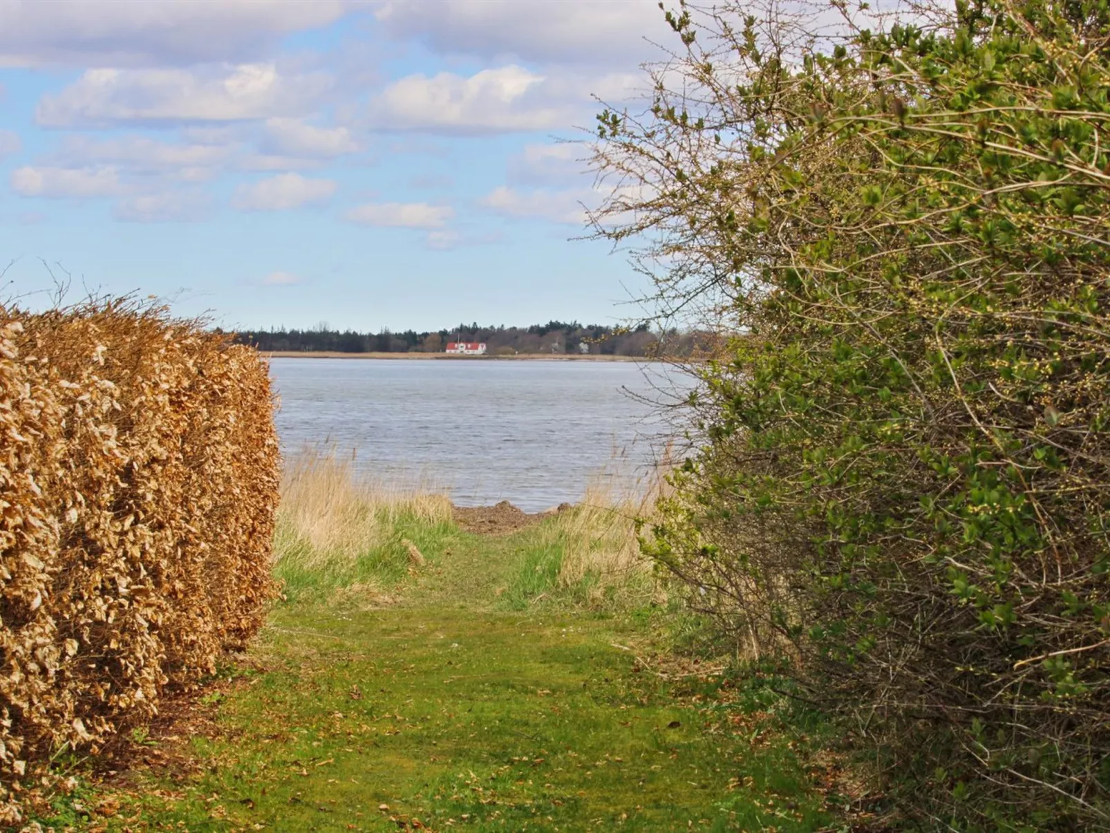 "Bendine" - 100m to the fjord-Dehors