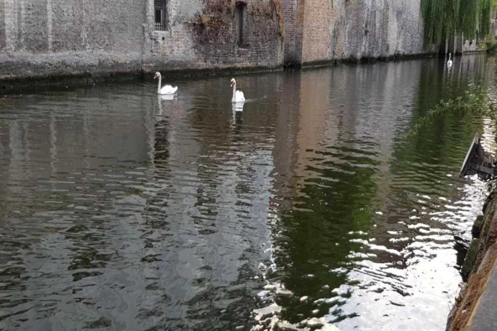 Manderley 0304-Areas within 20km in summer