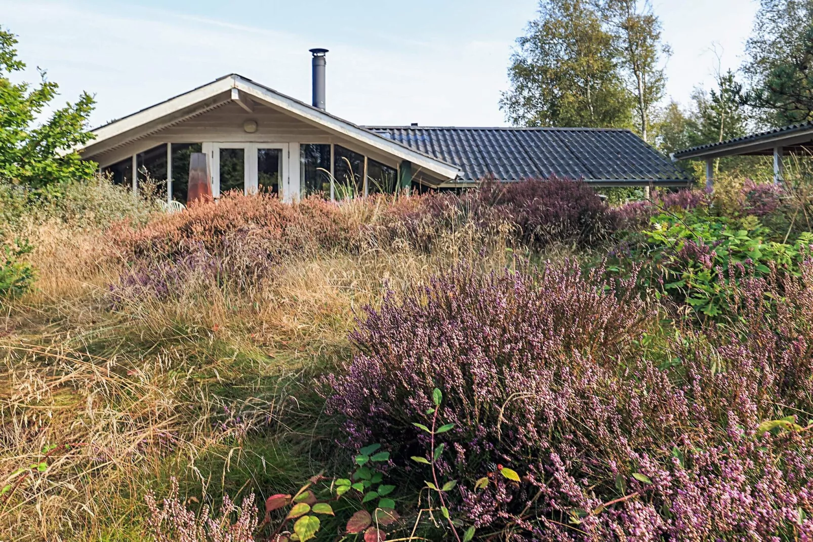 6 Personen Ferienhaus in Ålbæk-By Traum-Aussicht