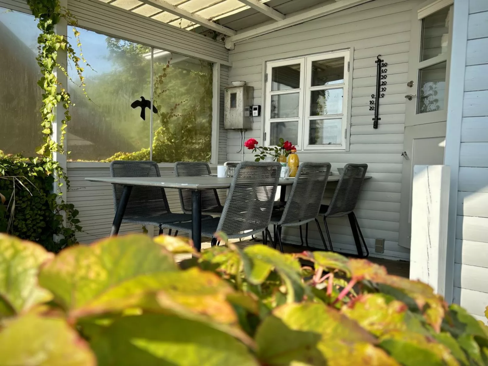 "Drifa" - 20m from the sea-Draußen