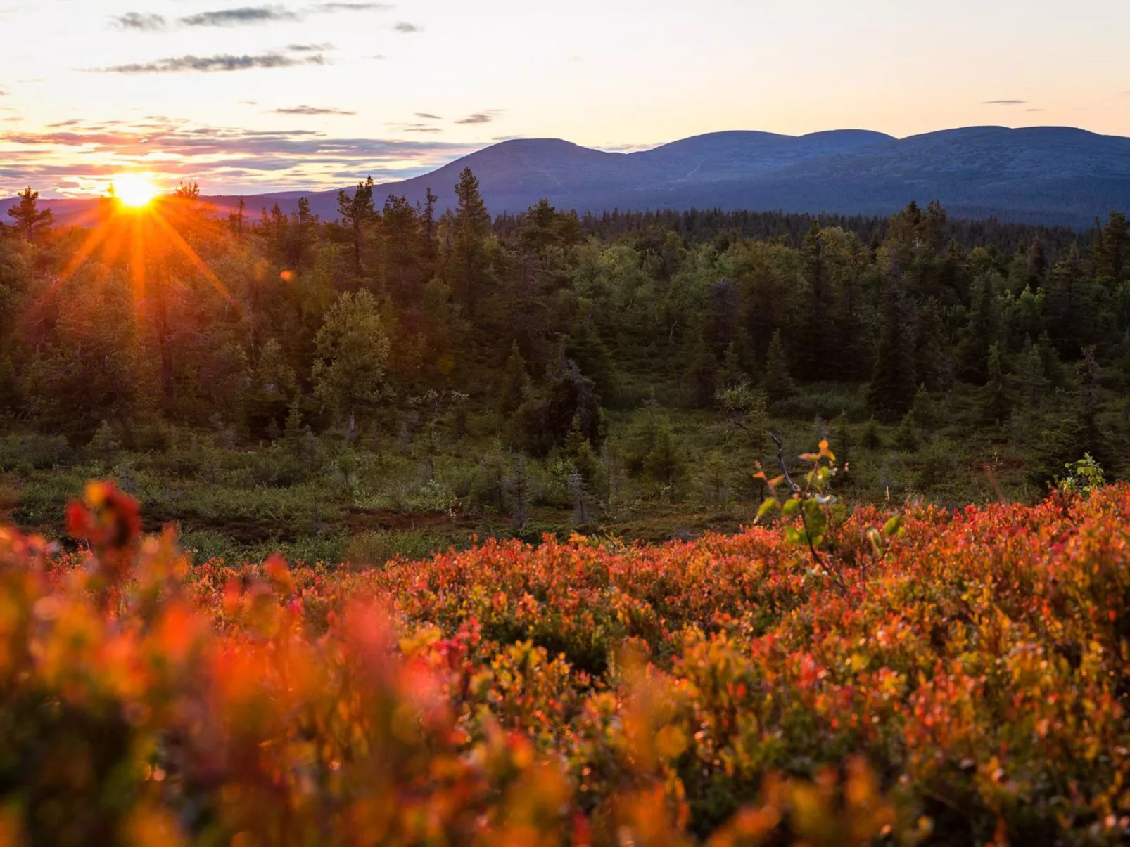 Lappi dream house-Inside