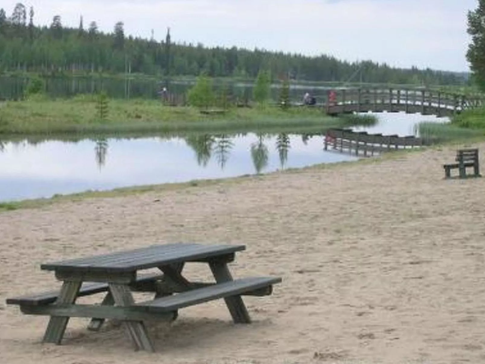 Sallanhelmi a2-Dedans