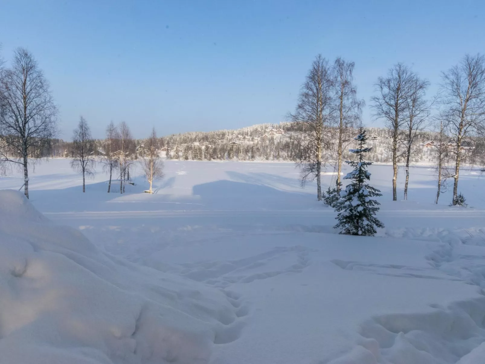 Hallan karhu b, paritalo-Inside